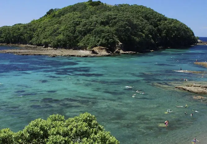 Snorkeling at Goat Island Marine Reserve Matakana Coast New Zealand