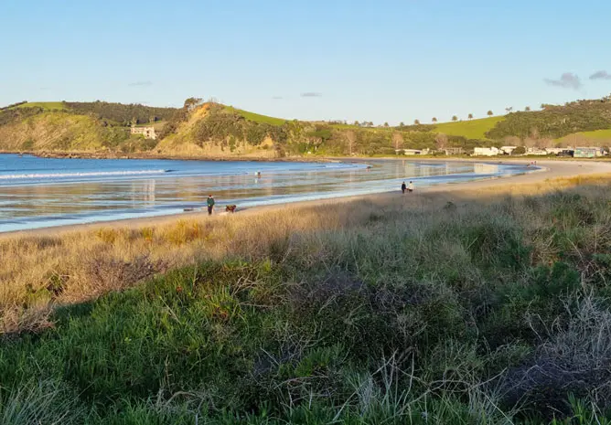 Omaha Beach Matakana Coast New Zealand at sunset with people walking dogs