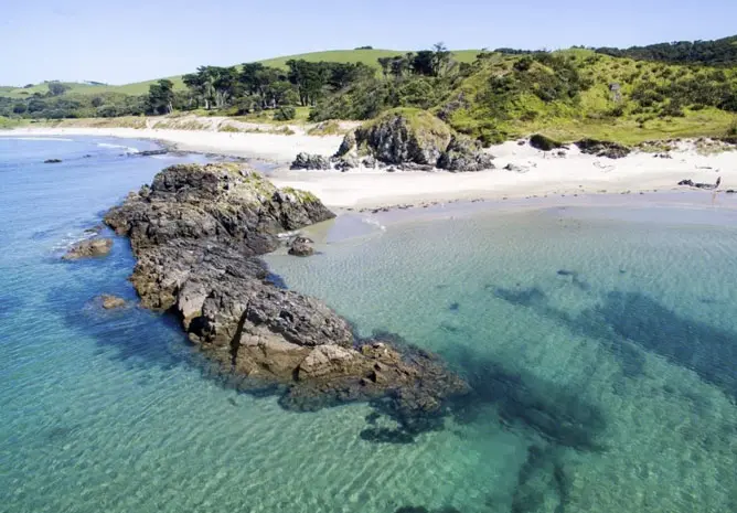 Tawharanui Regional Park beach and crystal clear waters Matakana New Zealand
